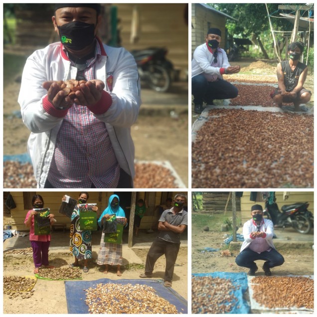 Relawan Aku Sahabat Rakyat (ASR ) Konawe Selatan kali ini menyambangi para penjual pinang yang bertempat Desa Sawa, Kecamatan Kolono, Kabuapten Konawe Selatan