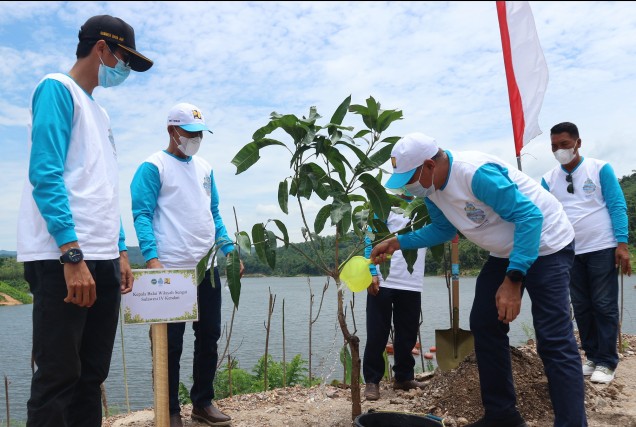 Kepala BWS Sulawesi IV Kendari, Agus Safari, ST., MT Melakukan Penanaman Pohon Di Bendungan Ladongi