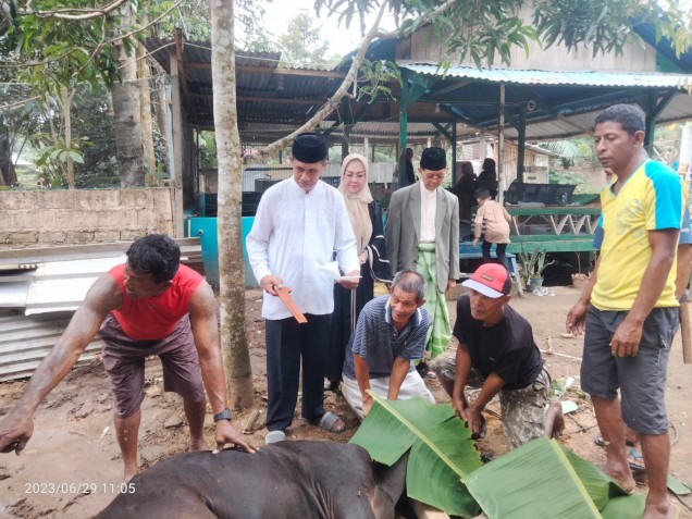 "Proses penyembelihan sapi kurban keluarga besar Hj Rusiawati Abunawas di Kelurahan Tobimeita, Kecamatan Nambo. Foto: Istimewa